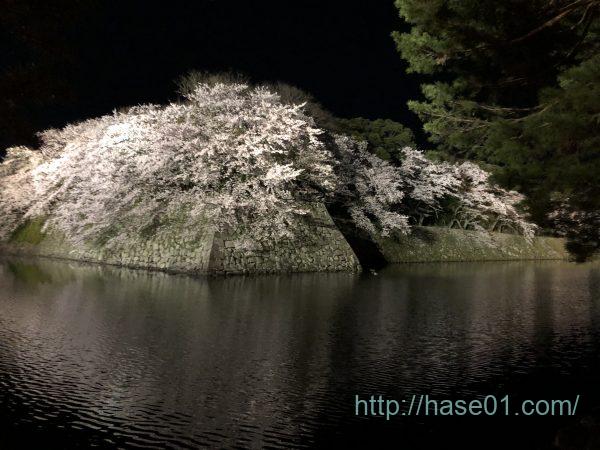 彦根城の桜でライトアップってどう そこには幻想的で妖艶な世界が 居心地の良いmy Life
