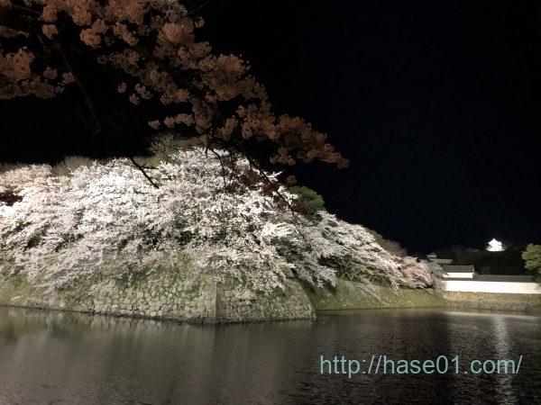 彦根城の桜のライトアップが幻想的 あと少しで春がやってくる 居心地の良いmy Life